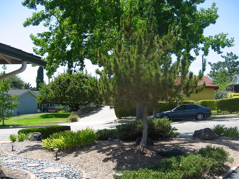 Front Yard - Facing West