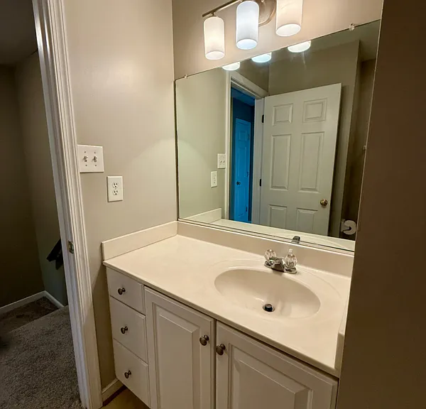 1529 Olde Sage Ct — Photo 41