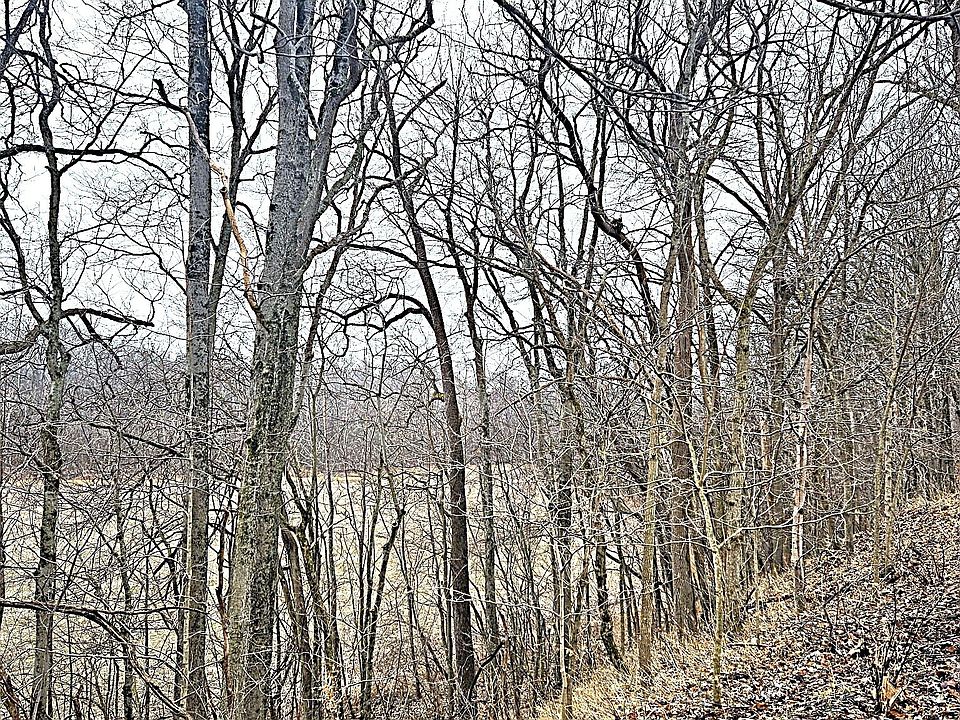 2nd image of 5921 N County Road 500 E
