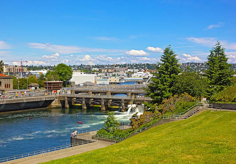 The Ballard Locks - A great spot for a picnic and an educational experience at the fish ladder.