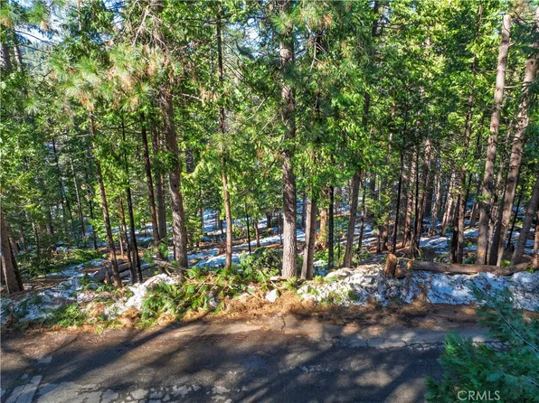 1803 Evergreen Dr Lot 325, Arnold, CA 95223