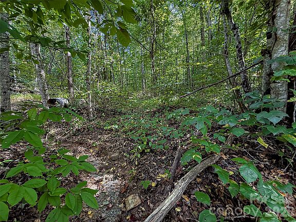 2nd image of 99999 High Top Mountain Rd Lot 1