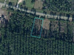 6600 Doc Whitfield Rd, Wewahitchka, FL 32465