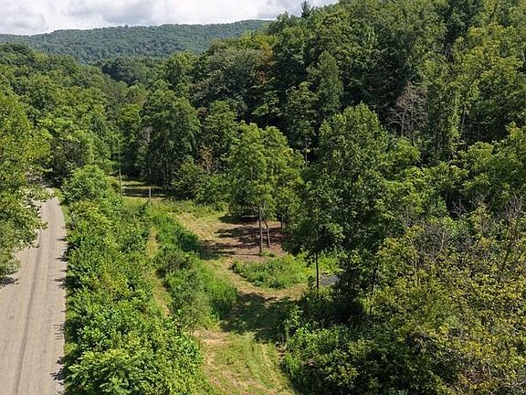 2nd image of 33.88 Acres Baptist Hollow Rd
