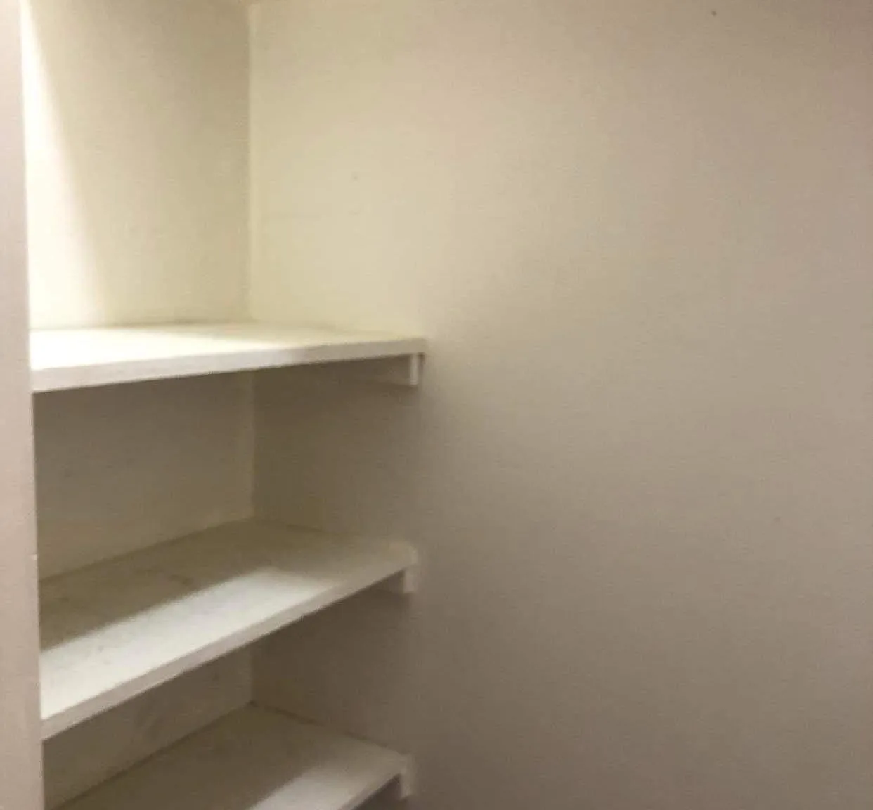 2 bed, 900 sqft, $1,800 — Photo 2