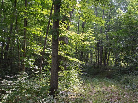 4th image of 3307 County Road 172