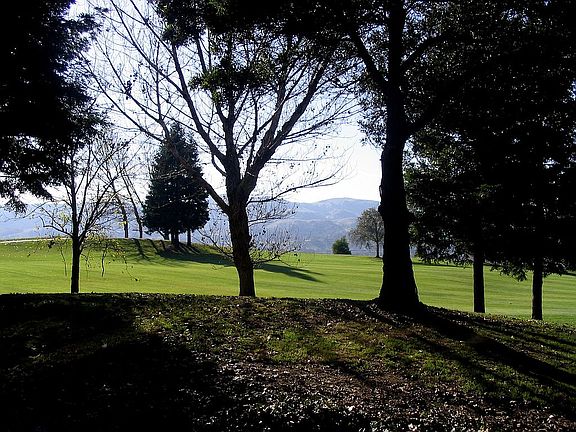 Golf Course View
