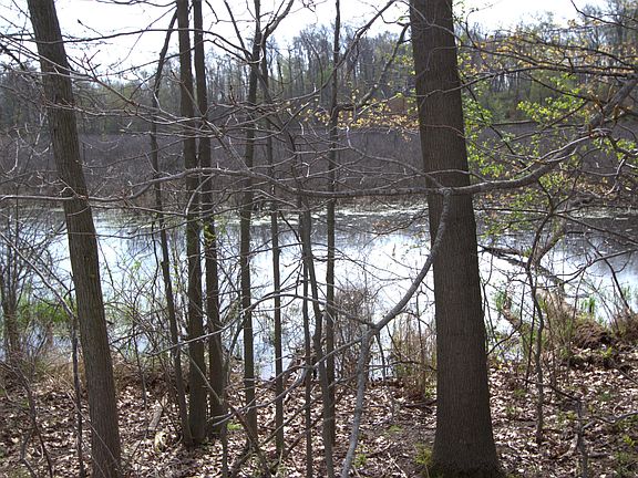 2nd image of V/l Frost Rd