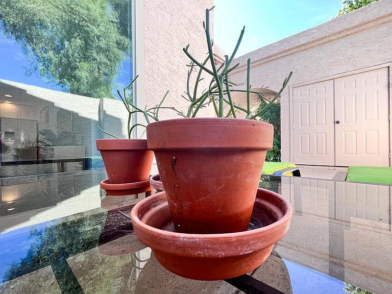 2019 W Lemon Tree Pl #1172 — Photo 42