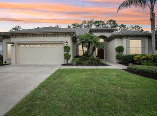 3500 Grassglen Pl, Wesley Chapel, FL 33544