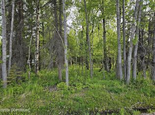 1401 Holland Ave, Wasilla, AK 99654