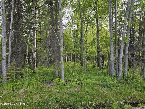 1401 Holland Ave, Wasilla, AK 99654