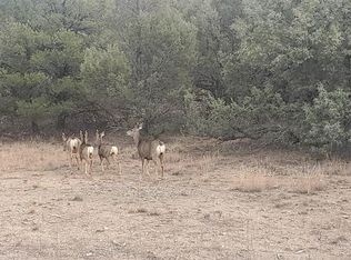 0 County Road 322, Los Ojos, NM 87551