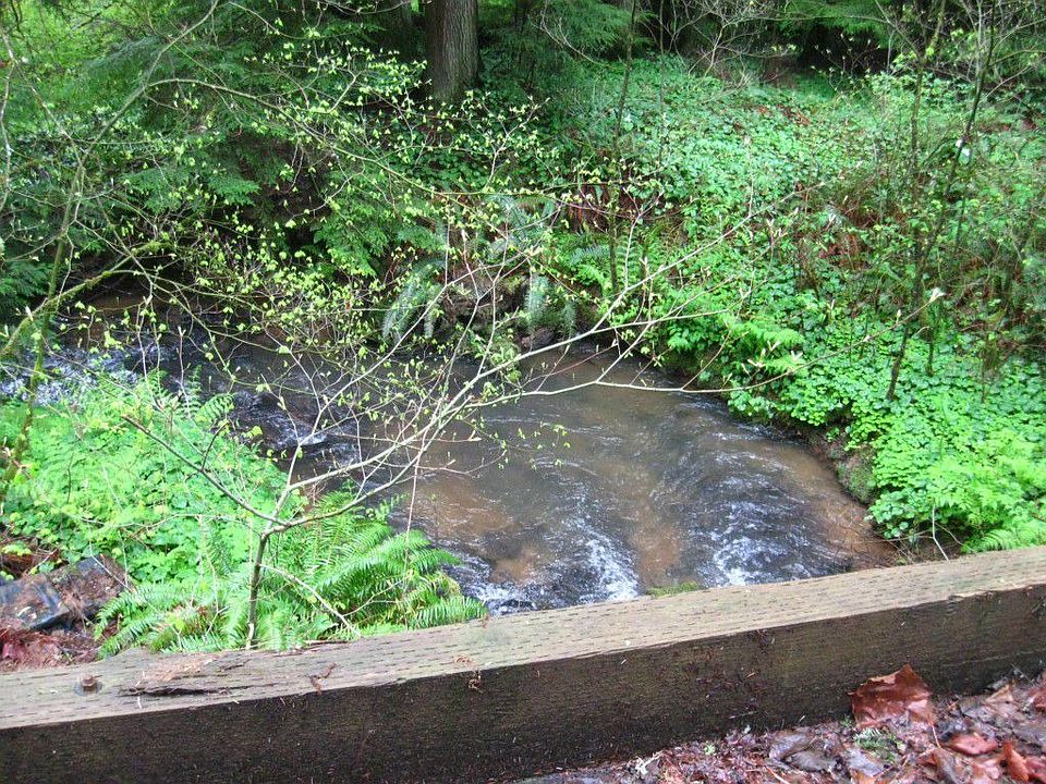 2nd image of 202 Ragland Rd