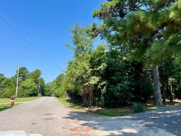 Lynndale Dr, Pleasant Plains, AR 72568