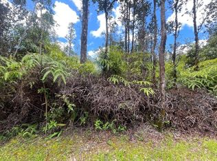 Hopue Rd #3, Mountain View, HI 96771