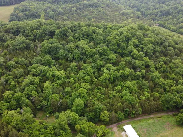 32 Patterson Ln, Pleasant Shade, TN 37145