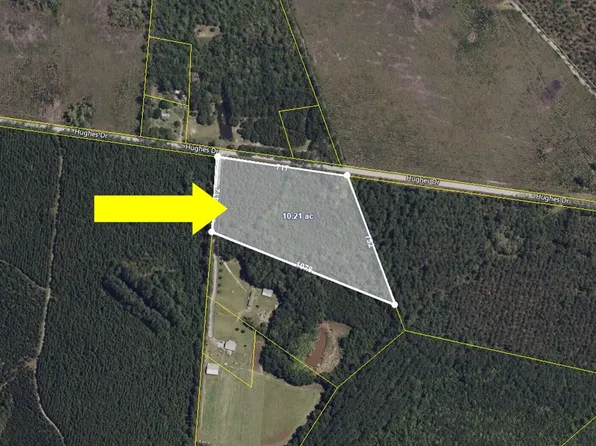 0 Hughes Dr, Cottageville, SC 29435