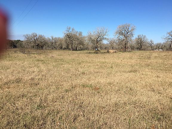 Front pasture 
