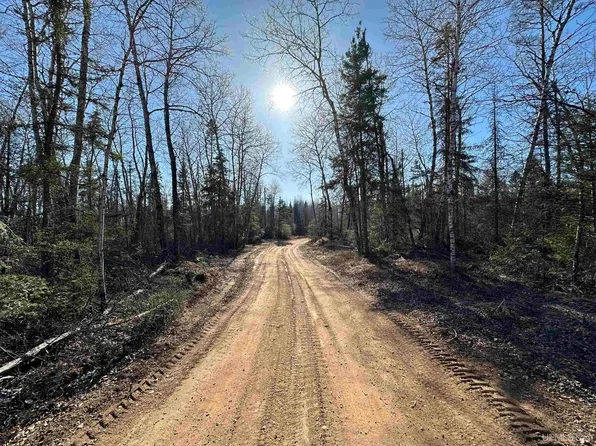 E Co Road Lf, Republic, MI 49879