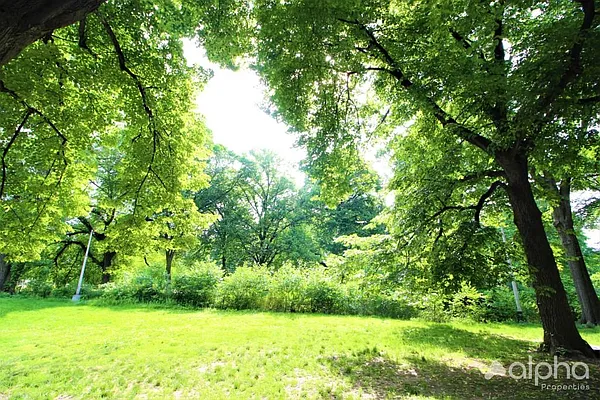 Rented by Alpha Properties NYC I LLC | media 27