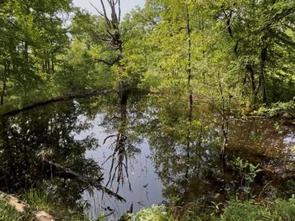 E 118th Rd, Seminole, OK 74868