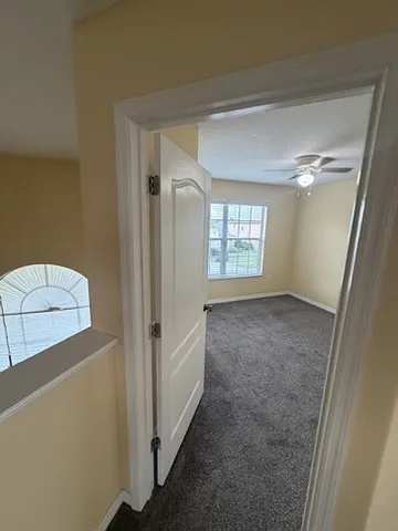 337 Bella Vida Blvd — Photo 35