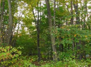 15 Sunfish Rd, Windsor, NY 13865