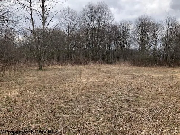 Point Mountain Rd, Monterville, WV 26282
