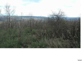0 Carlton Rd, Warsaw, NY 14569
