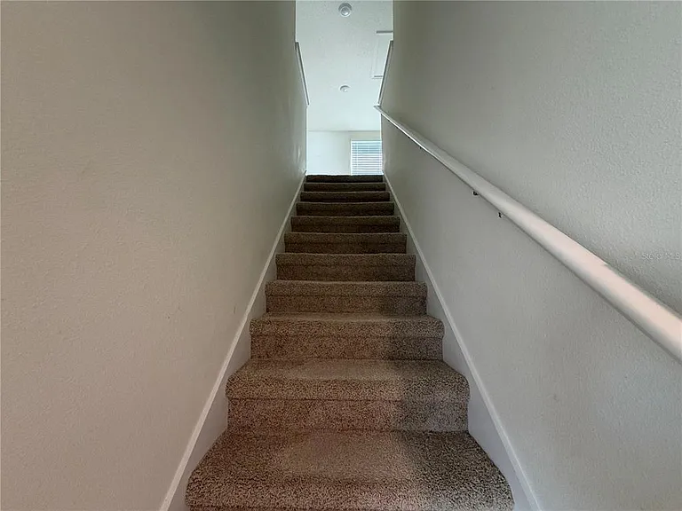12072 Downy Birch Dr — Photo 12