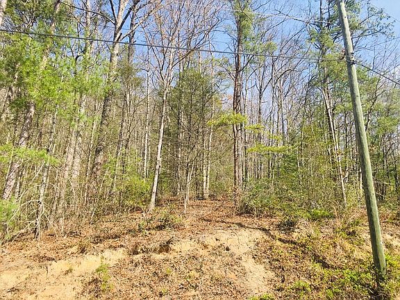 4th image of LOT Lumber Jack Way