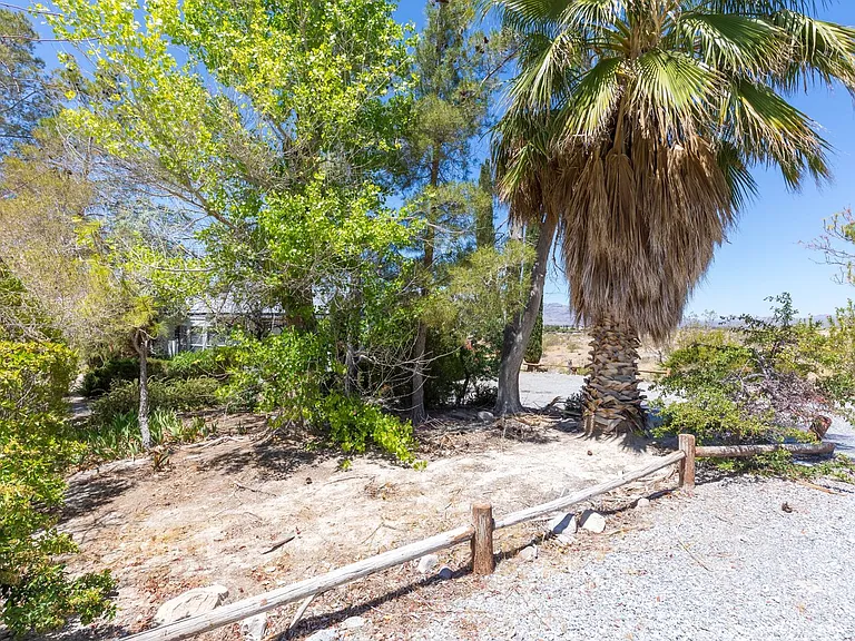 1130 E Mesquite Ave #2 — Photo 35