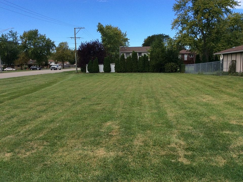 Bonus!  Nice fence and privacy trees already installed at "back" of property.  View is from Sheila D