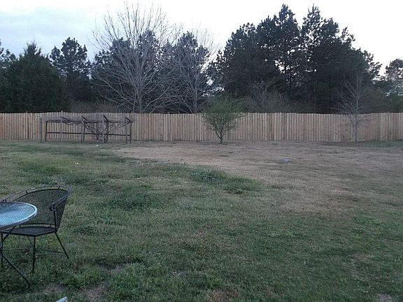 Back yard, scuplin vines andtrees