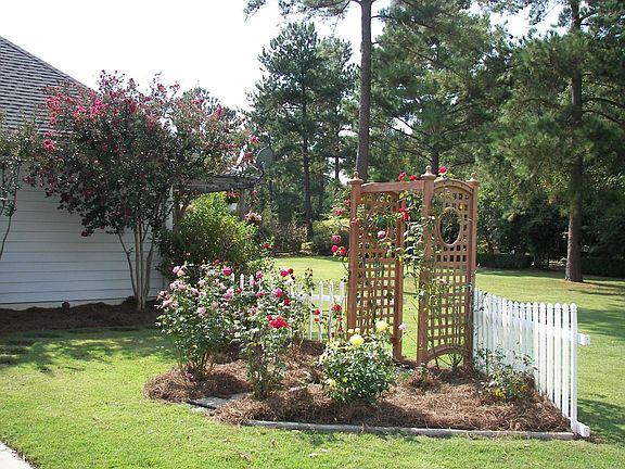 Side rose garden