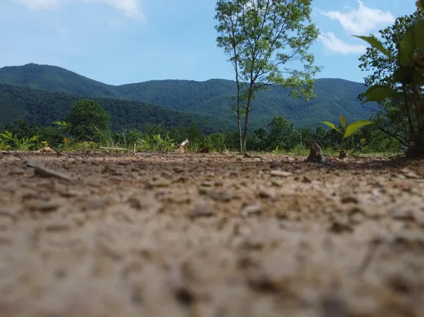 0 Harold Witt Rd, Tellico Plains, TN 37385