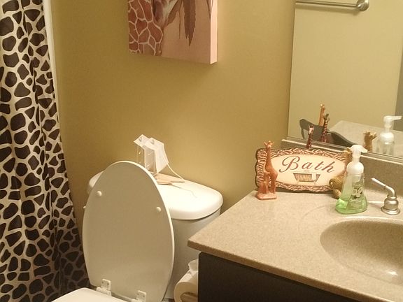 Guest bathroom