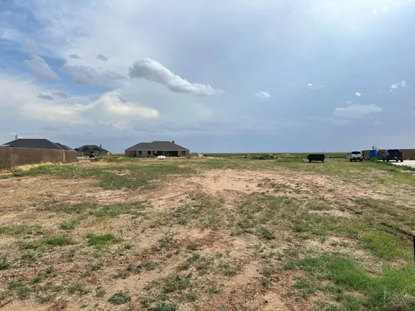1041 Kitty Ln, Wilson, TX 79381