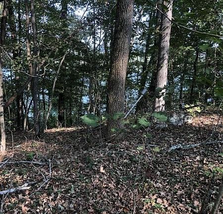 2nd image of 0 Lakeshore Vista Dr