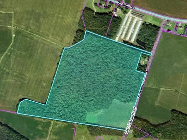 0 Cattail Branch Rd, Harrington, DE 19952