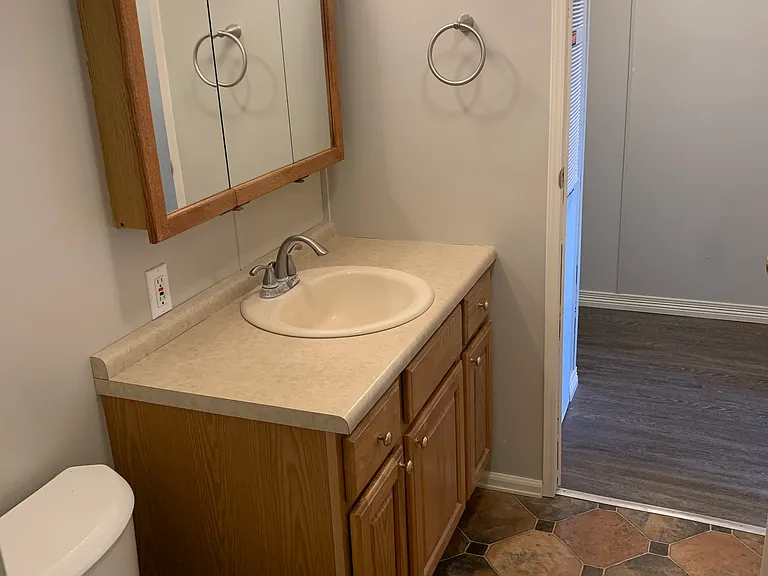 Hall bathroom