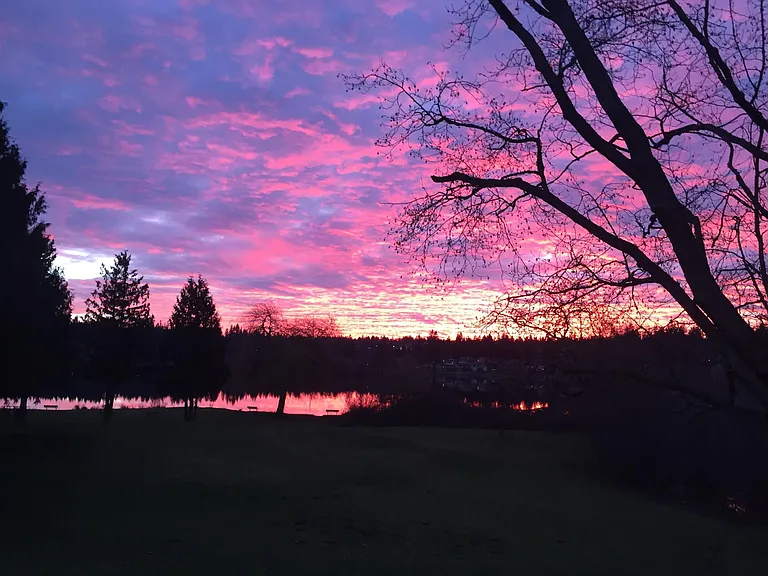 sunset over lake Balllinger. across the street from the condo