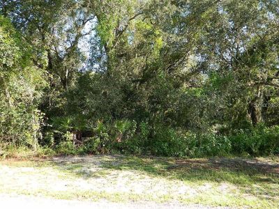 2086 NE Voss Oaks Cir Lot 16, Arcadia, FL, 34266