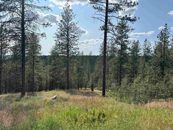 Nka Lower Weaver Way #A, Deer Park, WA 99006