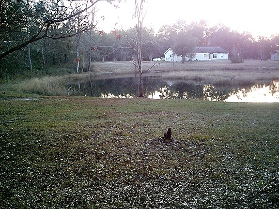 View of Pond