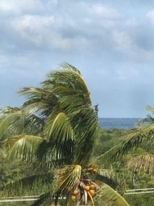 275 Palm Ave APT C503, Jupiter, FL, 33477