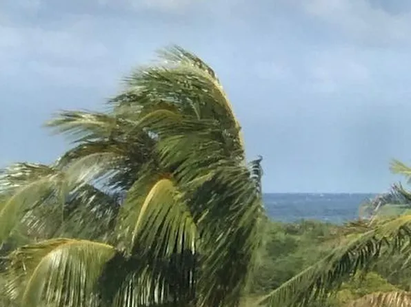 275 Palm Ave APT C503, Jupiter, FL 33477