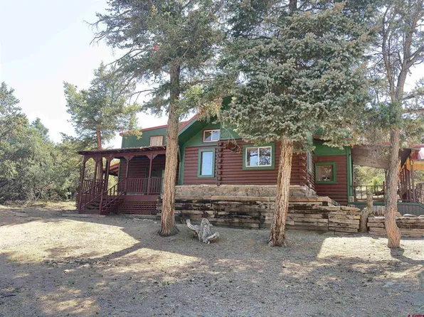 625 Bear Creek Road, South Fork, CO 81154
