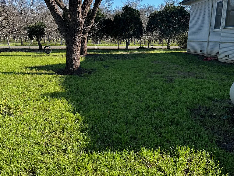 9151 Campbell Rd — Photo 64